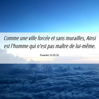 Picture 06 - Proverbes 25:28 LSG - Comme une ville forcée et sans murailles, Ainsi - Bible Verse Picture
