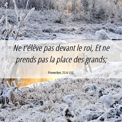Picture 06 - Proverbes 25:6 LSG - Ne t'élève pas devant le roi, Et ne prends pas - Bible Verse Picture
