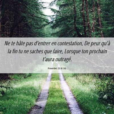 Picture 06 - Proverbes 25:8 LSG - Ne te hâte pas d'entrer en contestation, De peur - Bible Verse Picture