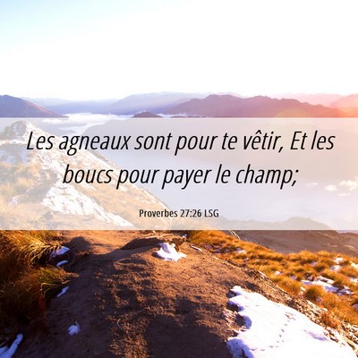 Picture 06 - Proverbes 27:26 LSG - Les agneaux sont pour te vêtir, Et les boucs - Bible Verse Picture