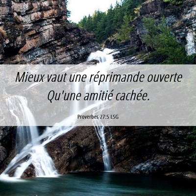 Picture 06 - Proverbes 27:5 LSG - Mieux vaut une réprimande ouverte Qu'une amitié - Bible Verse Picture