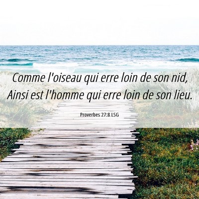 Picture 06 - Proverbes 27:8 LSG - Comme l'oiseau qui erre loin de son nid, Ainsi - Bible Verse Picture