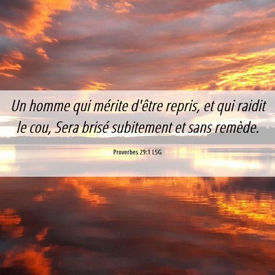 Picture 06 - Proverbes 29:1 LSG - Un homme qui mérite d'être repris, et qui - Bible Verse Picture