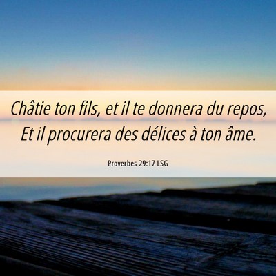 Picture 06 - Proverbes 29:17 LSG - Châtie ton fils, et il te donnera du repos, Et - Bible Verse Picture