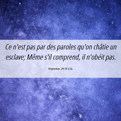 Picture 06 - Proverbes 29:19 LSG - Ce n'est pas par des paroles qu'on châtie un - Bible Verse Picture