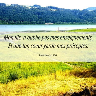 Picture 06 - Proverbes 3:1 LSG - Mon fils, n'oublie pas mes enseignements, Et que - Bible Verse Picture
