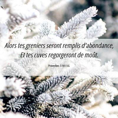 Picture 06 - Proverbes 3:10 LSG - Alors tes greniers seront remplis d'abondance, Et - Bible Verse Picture
