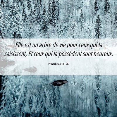 Picture 06 - Proverbes 3:18 LSG - Elle est un arbre de vie pour ceux qui la - Bible Verse Picture