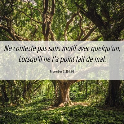 Picture 06 - Proverbes 3:30 LSG - Ne conteste pas sans motif avec quelqu'un, - Bible Verse Picture