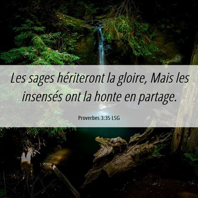 Picture 06 - Proverbes 3:35 LSG - Les sages hériteront la gloire, Mais les - Bible Verse Picture