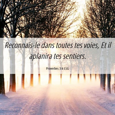 Picture 06 - Proverbes 3:6 LSG - Reconnais-le dans toutes tes voies, Et il - Bible Verse Picture