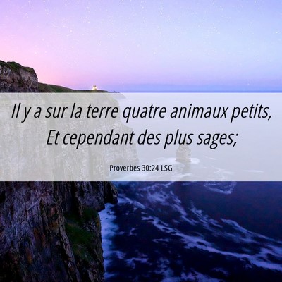 Picture 06 - Proverbes 30:24 LSG - Il y a sur la terre quatre animaux petits, Et - Bible Verse Picture