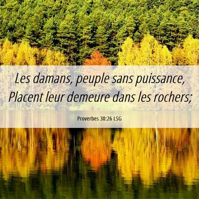 Picture 06 - Proverbes 30:26 LSG - Les damans, peuple sans puissance, Placent leur - Bible Verse Picture