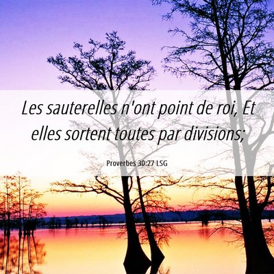Picture 06 - Proverbes 30:27 LSG - Les sauterelles n'ont point de roi, Et elles - Bible Verse Picture