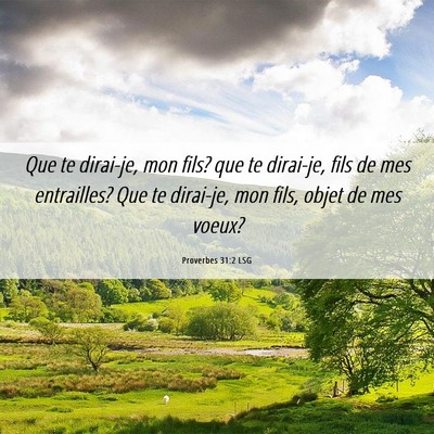 Picture 06 - Proverbes 31:2 LSG - Que te dirai-je, mon fils? que te dirai-je, fils - Bible Verse Picture
