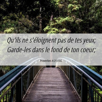 Picture 06 - Proverbes 4:21 LSG - Qu'ils ne s'éloignent pas de tes yeux; Garde-les - Bible Verse Picture
