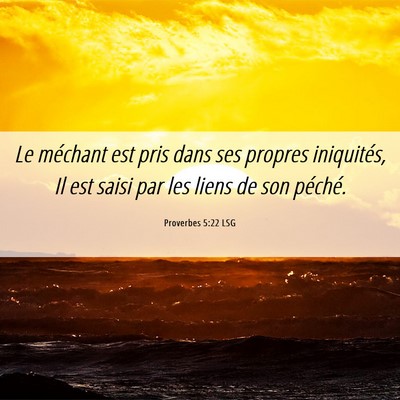 Picture 06 - Proverbes 5:22 LSG - Le méchant est pris dans ses propres iniquités, - Bible Verse Picture