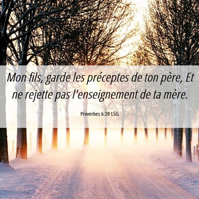 Picture 06 - Proverbes 6:20 LSG - Mon fils, garde les préceptes de ton père, Et - Bible Verse Picture