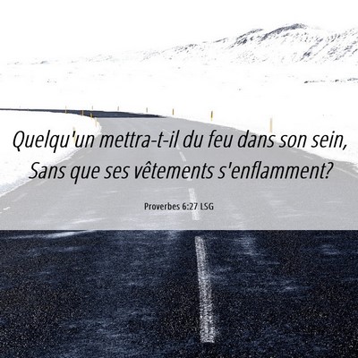 Picture 06 - Proverbes 6:27 LSG - Quelqu'un mettra-t-il du feu dans son sein, Sans - Bible Verse Picture