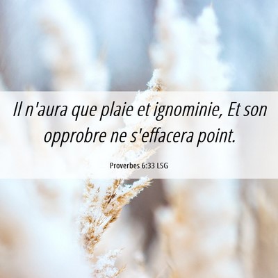 Picture 06 - Proverbes 6:33 LSG - Il n'aura que plaie et ignominie, Et son opprobre - Bible Verse Picture