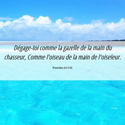 Picture 06 - Proverbes 6:5 LSG - Dégage-toi comme la gazelle de la main du - Bible Verse Picture
