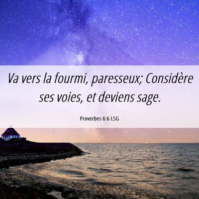 Picture 06 - Proverbes 6:6 LSG - Va vers la fourmi, paresseux; Considère ses - Bible Verse Picture
