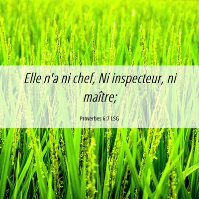 Picture 06 - Proverbes 6:7 LSG - Elle n'a ni chef, Ni inspecteur, ni - Bible Verse Picture