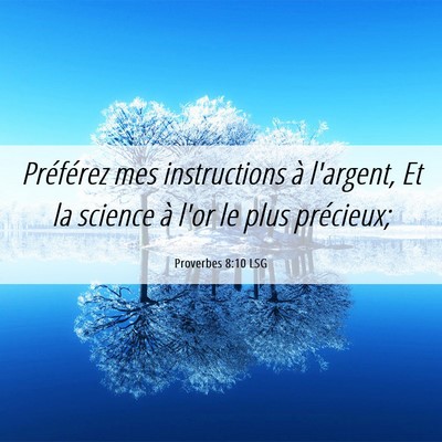 Picture 06 - Proverbes 8:10 LSG - Préférez mes instructions à l'argent, Et la - Bible Verse Picture