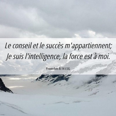 Picture 06 - Proverbes 8:14 LSG - Le conseil et le succès m'appartiennent; Je suis - Bible Verse Picture
