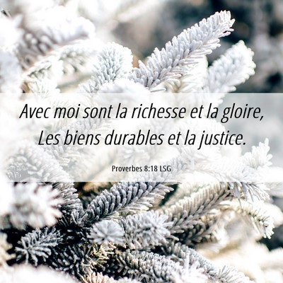 Picture 06 - Proverbes 8:18 LSG - Avec moi sont la richesse et la gloire, Les biens - Bible Verse Picture