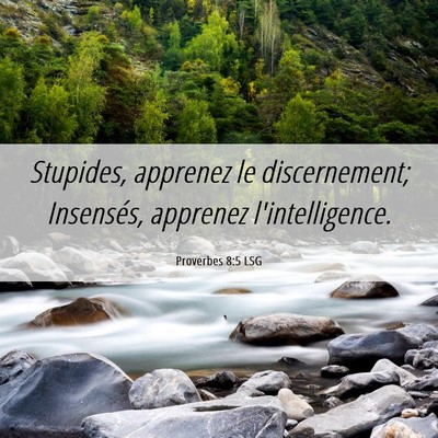 Picture 06 - Proverbes 8:5 LSG - Stupides, apprenez le discernement; Insensés, - Bible Verse Picture