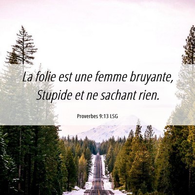 Picture 06 - Proverbes 9:13 LSG - La folie est une femme bruyante, Stupide et ne - Bible Verse Picture