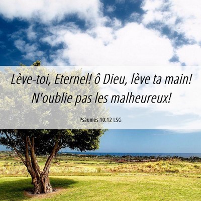 Picture 06 - Psaumes 10:12 LSG - Lève-toi, Eternel! ô Dieu, lève ta main! - Bible Verse Picture