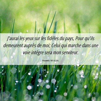 Picture 06 - Psaumes 101:6 LSG - J'aurai les yeux sur les fidèles du pays, Pour - Bible Verse Picture