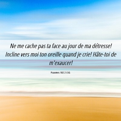 Picture 06 - Psaumes 102:2 LSG - Ne me cache pas ta face au jour de ma détresse! - Bible Verse Picture
