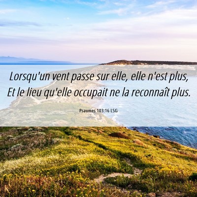 Picture 06 - Psaumes 103:16 LSG - Lorsqu'un vent passe sur elle, elle n'est plus, - Bible Verse Picture