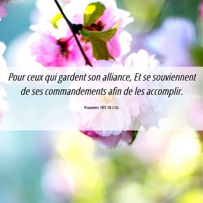 Picture 06 - Psaumes 103:18 LSG - Pour ceux qui gardent son alliance, Et se - Bible Verse Picture