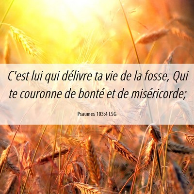 Picture 06 - Psaumes 103:4 LSG - C'est lui qui délivre ta vie de la fosse, Qui te - Bible Verse Picture
