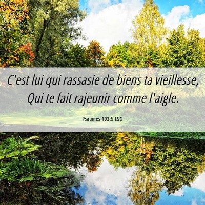 Picture 06 - Psaumes 103:5 LSG - C'est lui qui rassasie de biens ta vieillesse, - Bible Verse Picture