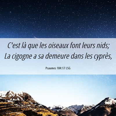 Picture 06 - Psaumes 104:17 LSG - C'est là que les oiseaux font leurs nids; La - Bible Verse Picture