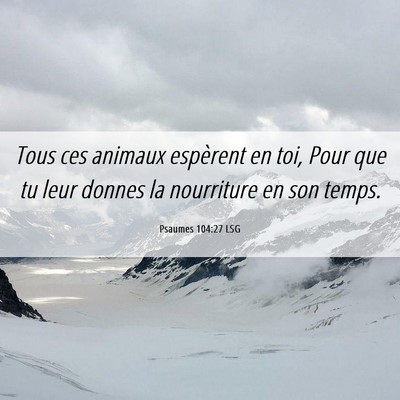 Picture 06 - Psaumes 104:27 LSG - Tous ces animaux espèrent en toi, Pour que tu - Bible Verse Picture