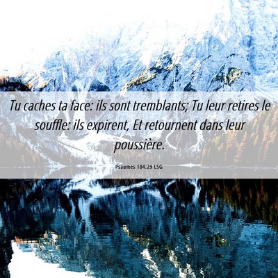 Picture 06 - Psaumes 104:29 LSG - Tu caches ta face: ils sont tremblants; Tu leur - Bible Verse Picture