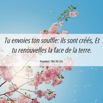 Picture 06 - Psaumes 104:30 LSG - Tu envoies ton souffle: ils sont créés, Et tu - Bible Verse Picture