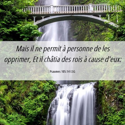 Picture 06 - Psaumes 105:14 LSG - Mais il ne permit à personne de les opprimer, Et - Bible Verse Picture