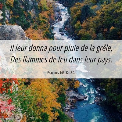 Picture 06 - Psaumes 105:32 LSG - Il leur donna pour pluie de la grêle, Des - Bible Verse Picture