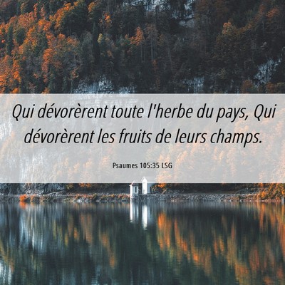 Picture 06 - Psaumes 105:35 LSG - Qui dévorèrent toute l'herbe du pays, Qui - Bible Verse Picture
