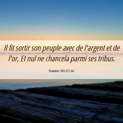 Picture 06 - Psaumes 105:37 LSG - Il fit sortir son peuple avec de l'argent et de - Bible Verse Picture