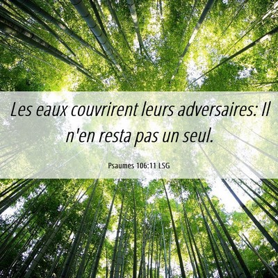 Picture 06 - Psaumes 106:11 LSG - Les eaux couvrirent leurs adversaires: Il n'en - Bible Verse Picture