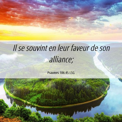 Picture 06 - Psaumes 106:45 LSG - Il se souvint en leur faveur de son - Bible Verse Picture