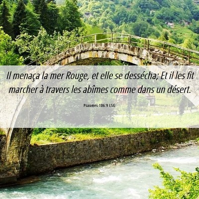 Picture 06 - Psaumes 106:9 LSG - Il menaça la mer Rouge, et elle se dessécha; Et - Bible Verse Picture